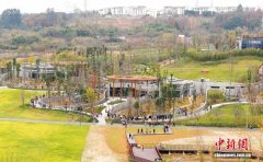 >绵阳中华大熊猫苑迎来首批体